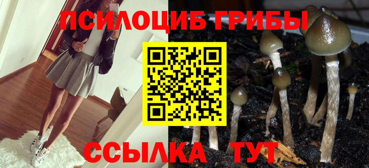 Псилоцибиновые грибы Psilocybine cubensis  Вход с VPN  Ижевск 