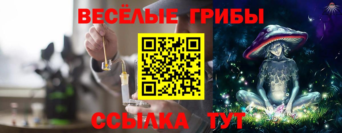 Галлюциногенные грибы GOLDEN TEACHER Ижевск